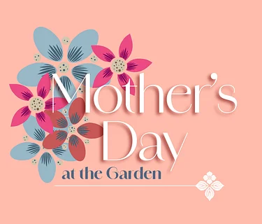 Mother's Day