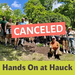 CANCELED: Hands On at Hauck
