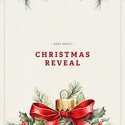 Real Deals Christmas Reveal