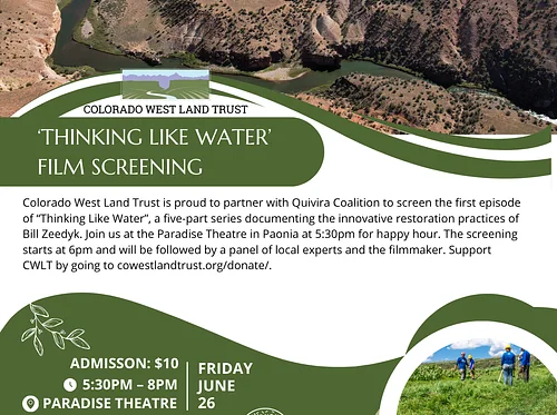 CWLT: Thinking Like Water (Film)
