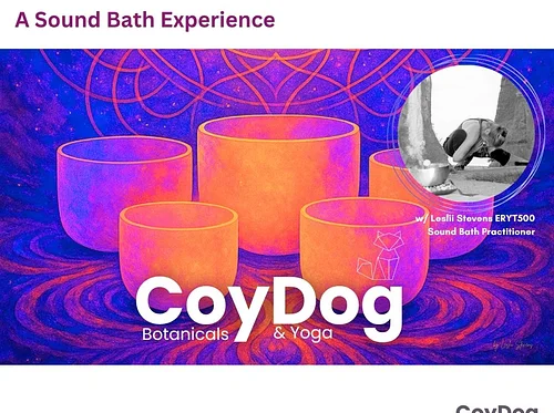Echoes of Release: A Sound Bath Experience