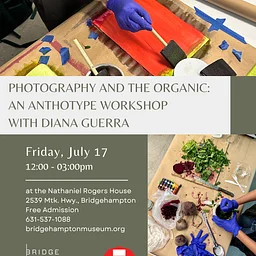 Photography and the Organic: An Anthotype Workshop with Diana Guerra