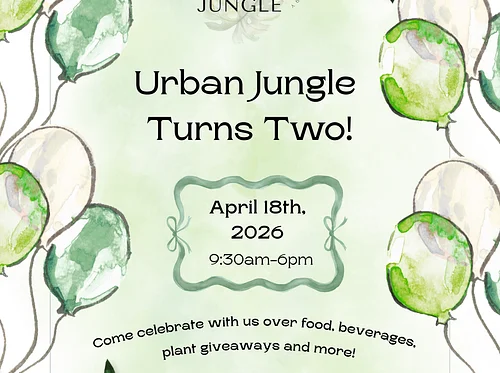 Urban Jungle Plants and Pottery Second Anniversary