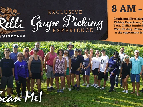 Exclusive Grape Picking Experience