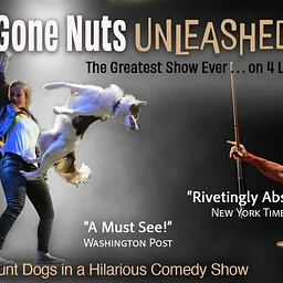 Mutts Gone Nuts – Unleashed! 4PM