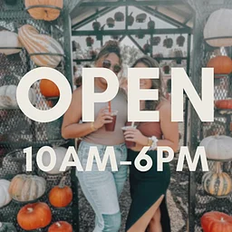 Fall Festival {ticketed, family-friendly}