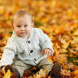 Little Wonders: Hooray!! Fall is Here – SOLD OUT