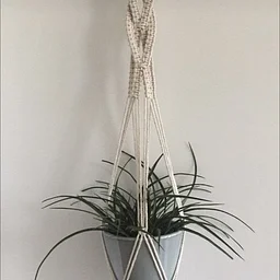 Macramé Plant Hanger Workshop