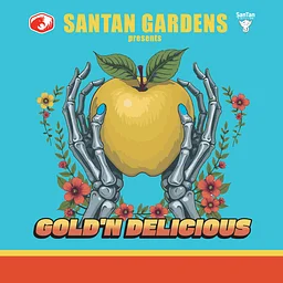Gold’n Delicious Live at SanTan Gardens