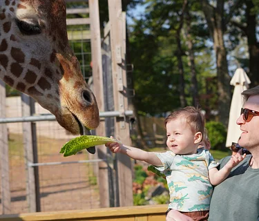 Breakfast with the Animals