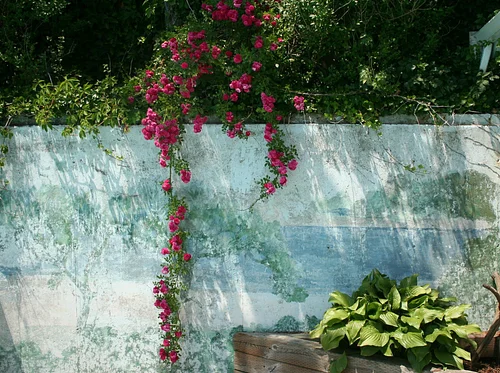 The Secret Garden Tour