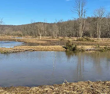 Backcountry Discovery Hike & Tour