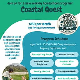 Costal Quest: Intertidal