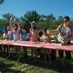 Agriculture Fair