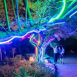 All New! Desert Oasis Garden After Dark