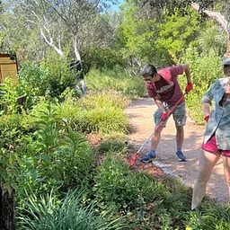 Grow Green: Presentation and Garden Workday