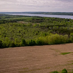 Creation of the Shotwell Brook Conservation Area – A Progress Report