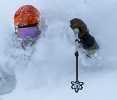 Preview The New Presented By Bergs