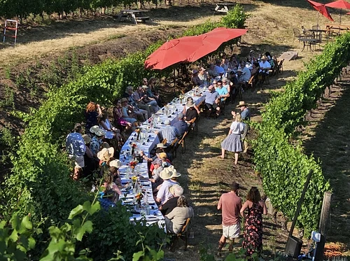 Summer Field & Vine Dinner