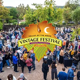 Sonoma Valley Vintage Festival