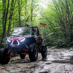 Bergoo Bash