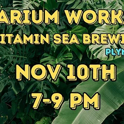 Terrarium Workshop at Vitamin Sea Brewing (Plymouth)
