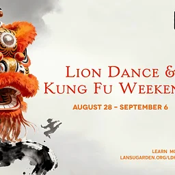 Lion Dance & Kung Fu Weekends