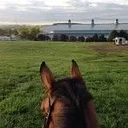 Virginia Horse Center