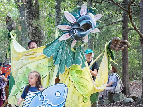 Shakori Hills Grassroots Festival of Music and Dance