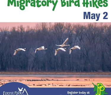 Migratory Bird Hikes
