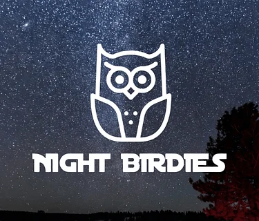 Night Birdies: Golf Under the Stars