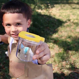 Mini-Me Science: Into the Wild – Florida Forests