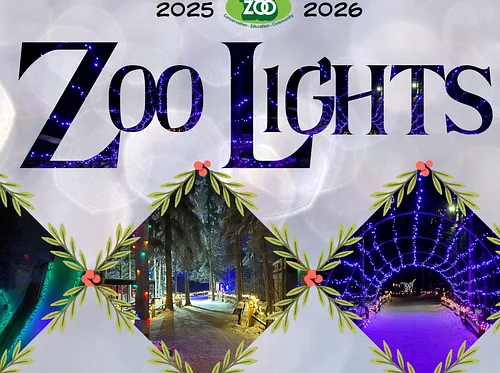 Zoo Lights