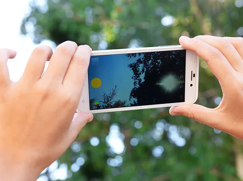 iNaturalist: An Amazing Tool for Identification in your Pocket