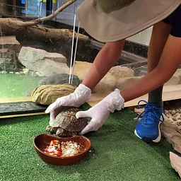 SOLD OUT | Wildlife Care Apprentices (Ages 10-15)