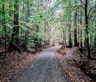 Anne Springs Close Greenway is Closed