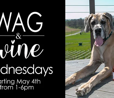 Wag & Wine Wednesday at grandview