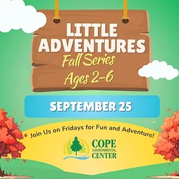 Little Adventures Fall Series