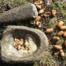 Family-Friendly CA Native People & Plants Tour