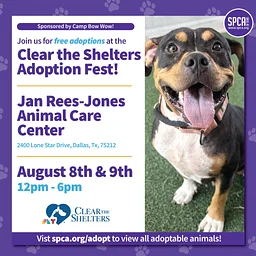 Clear the Shelters Adoption Fest – Free Adoptions sponsored by Camp Bow Wow
