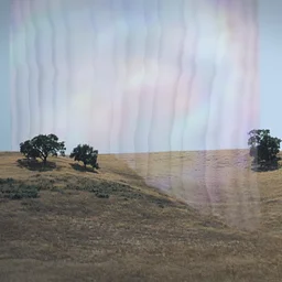 Opening CelebrationLaurent Grasso: Metaphysical Maze