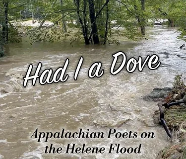 Willard's Wonderings & Watauga Wanderings: High Country Poet Laureate Hilda Downer discusses ‘Had I A Dove’