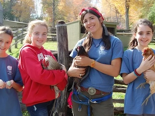 Junior Curator: Summer Session 2