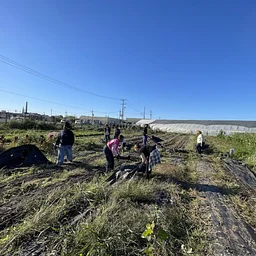 Weekly Volunteer Hours at KGD Farm - October 1