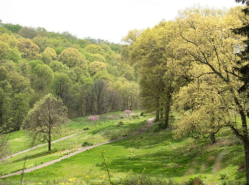 Air Quality Walk with GASP