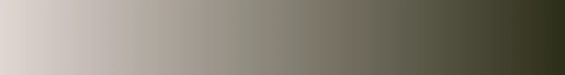 Vulcan Park and Museum