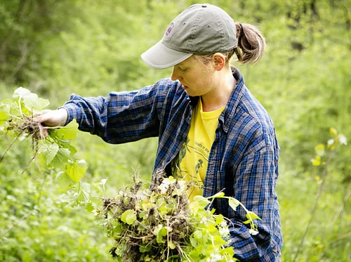 Ecological Restoration Weekend