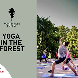 Yoga in the Forest