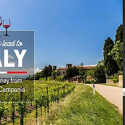 All Roads Lead to Italy - A Wine Journey from Trentino to Campania