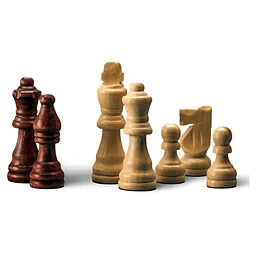 Kids Chess